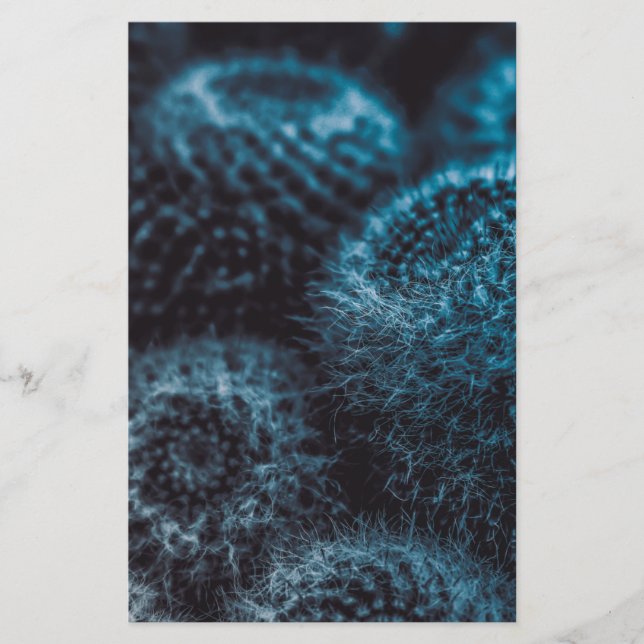 Papelaria Cacto Escuro (Frente)