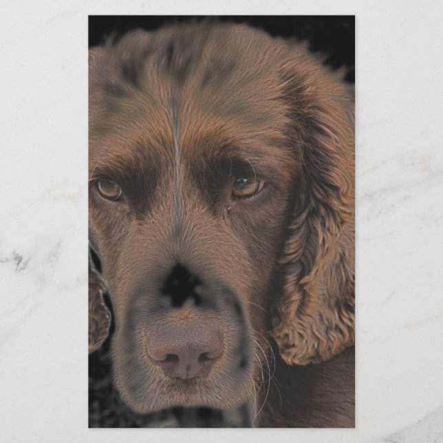 Papelaria Cães de Springer Inglês (Frente)