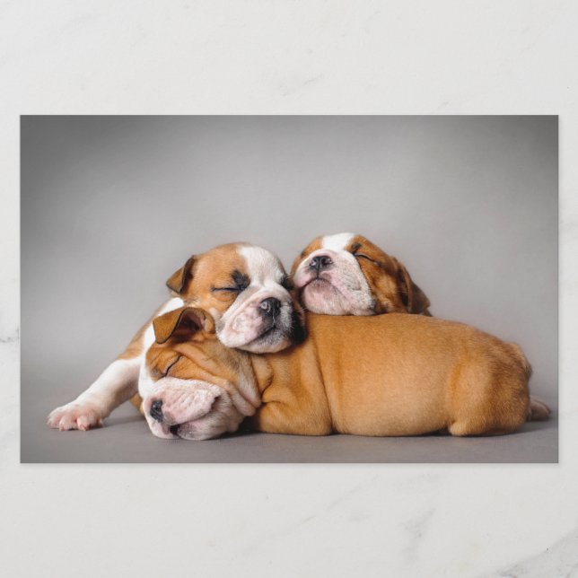 Papelaria Cãezinhos-buldogue com sono (Frente)