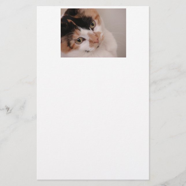 Papelaria Calico Beauty Cat (Frente)