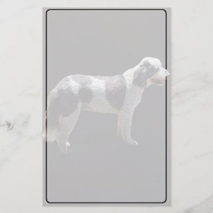 Papelaria Cão de Água Português