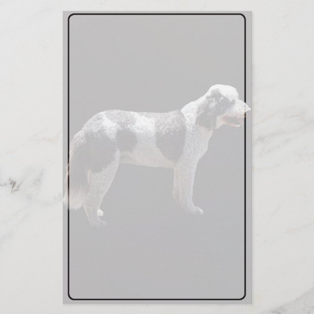 Papelaria Cão de Água Português (Frente)