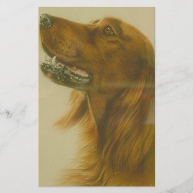 Papelaria Cão irlandês do setter vermelho (Frente)