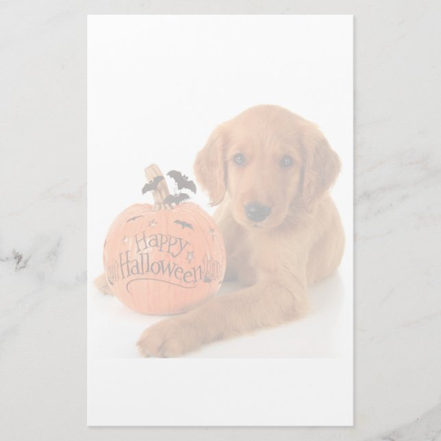 Papelaria Cãozinho De Halloween Bonito Com Abóbora (Frente)