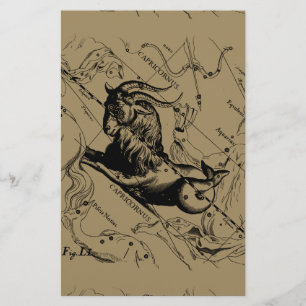 Papelaria Capricórnio Constelação Vintage Engrenando Heveliu