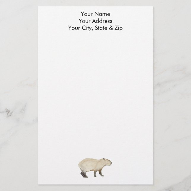 Papelaria Capybara (Frente)