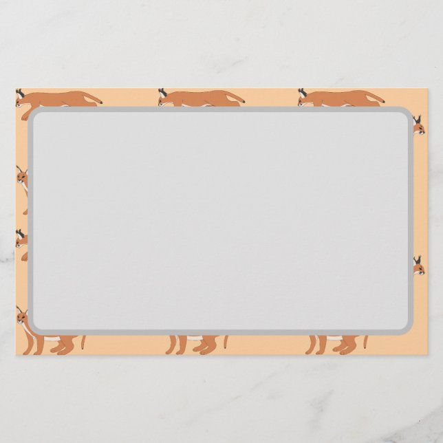 Papelaria Caracals  (Frente)