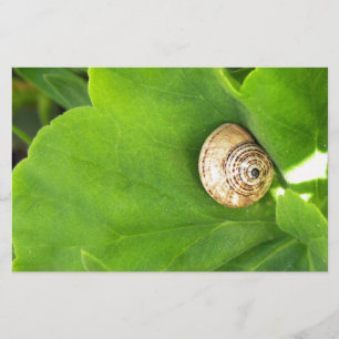 Papelaria caracol