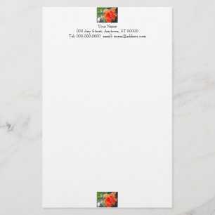 Papelaria Carta de Flor Laranja