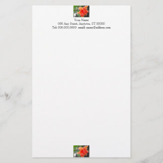 Papelaria Carta de Flor Laranja