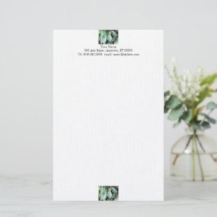 Papelaria Carta de Folhas de Jardim