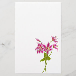 Papelaria Carta Lily Tiger Rosa