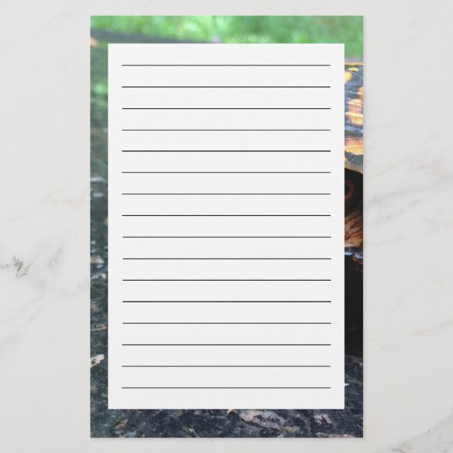 Papelaria Cartucho (Frente)