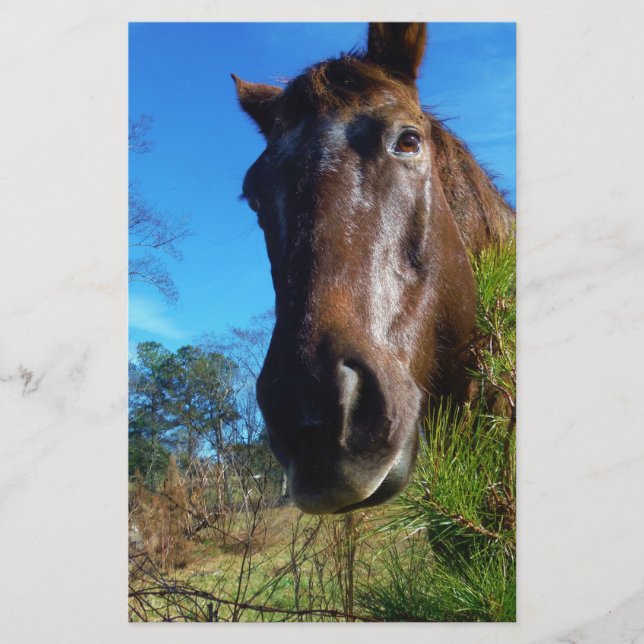 Papelaria Castanho e Creme Corante Canto Azul (Frente)