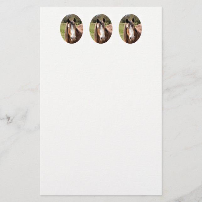 PAPELARIA CAVALO (Frente)