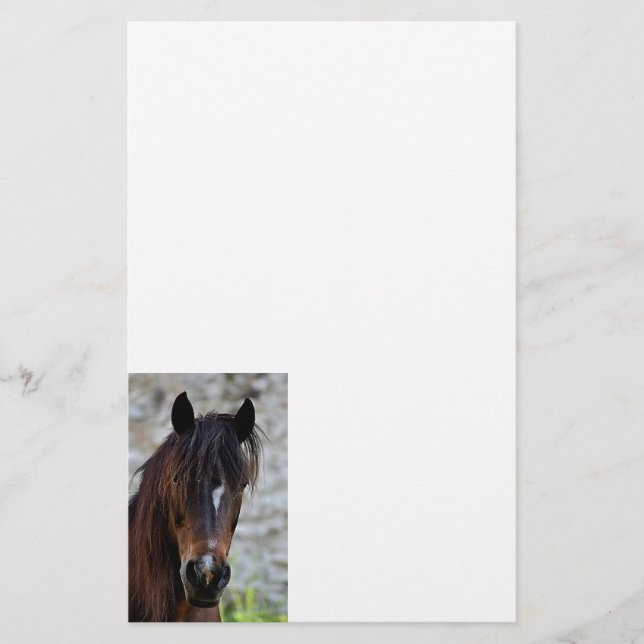 Papelaria Cavalo bonito de Brown (Frente)