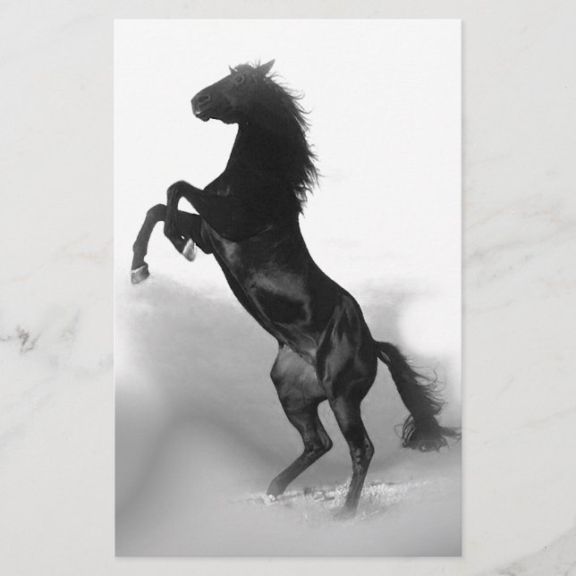 Papelaria Cavalo Branco Negro (Frente)