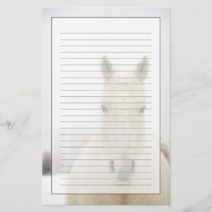 Papelaria Cavalo com neve na cabeça