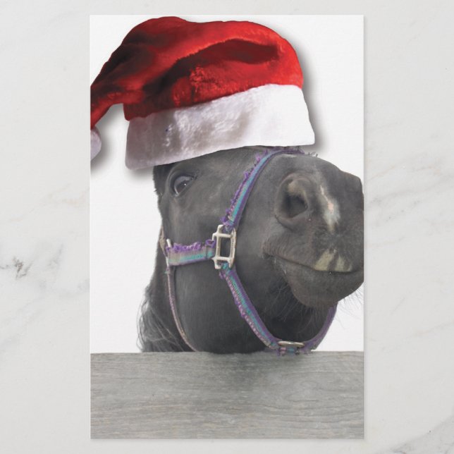 Papelaria Cavalo de Natal (Frente)