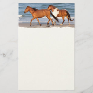 Papelaria Cavalo de Praia Sunset