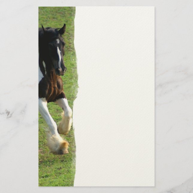 Papelaria Cavalo de Vanner Cigano (Frente)