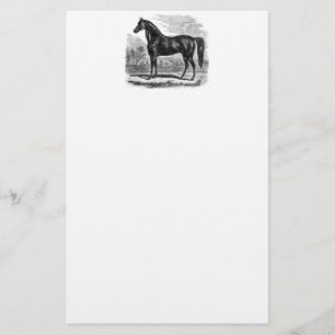 Papelaria Cavalo dos 1800s do vintage - modelo do Equestrian