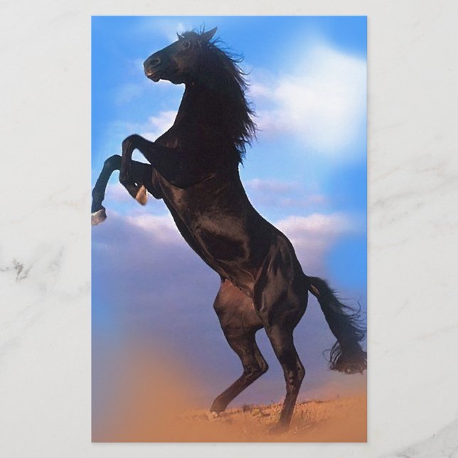 Papelaria Cavalo Empinado (Frente)