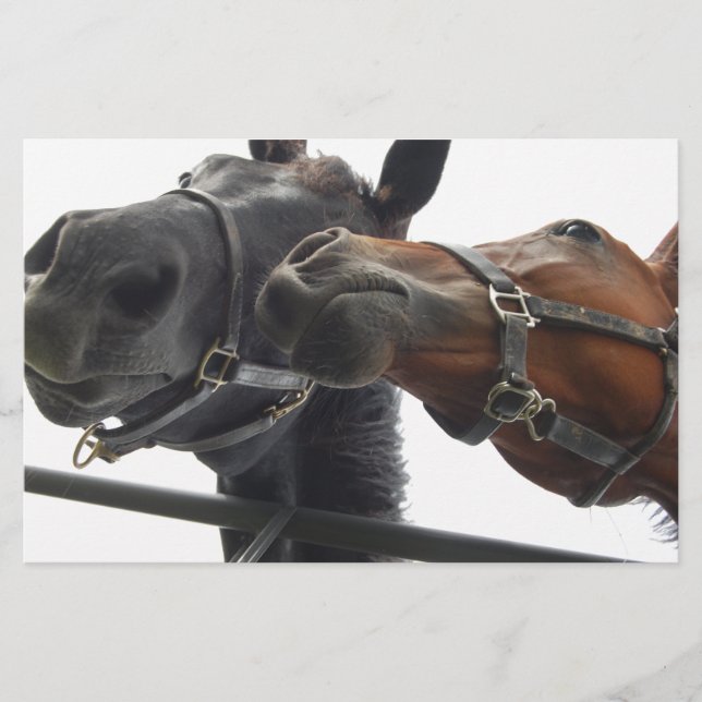 Papelaria Cavalo Por Aí (Frente)