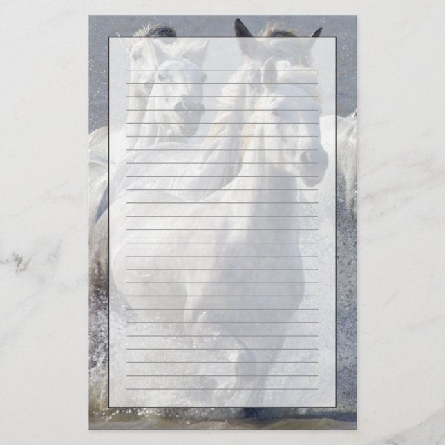 Papelaria Cavalos de Camargue que funcionam na região (Frente)