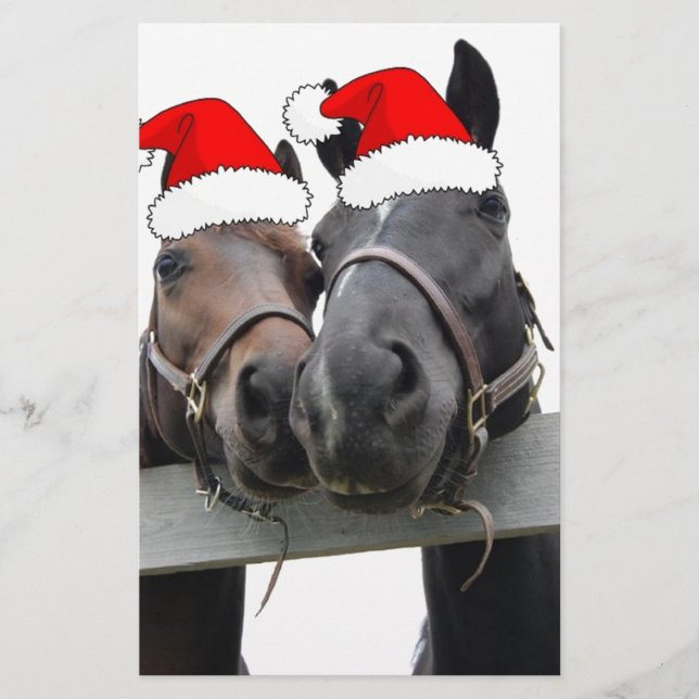 Papelaria Cavalos de Natal (Frente)
