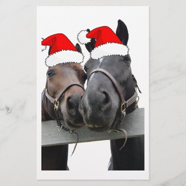 Papelaria Cavalos de Natal (Frente)