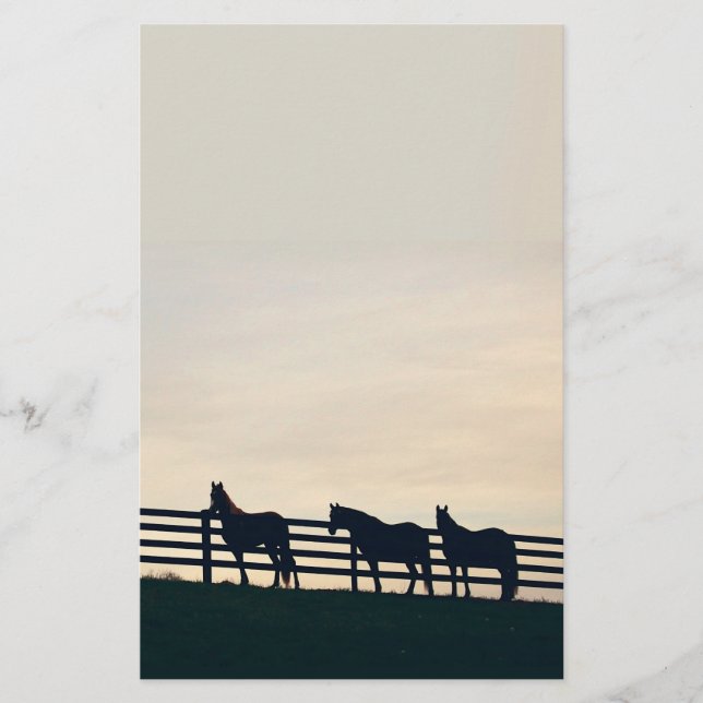 Papelaria Cavalos Equestres na Cerca da Pastura (Frente)