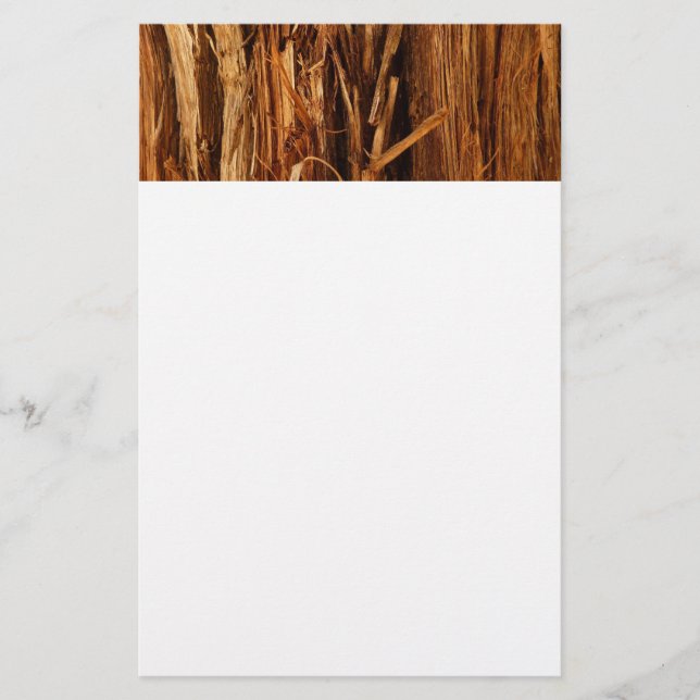 Papelaria Cedar Textura de Latido de Madeira (Frente)