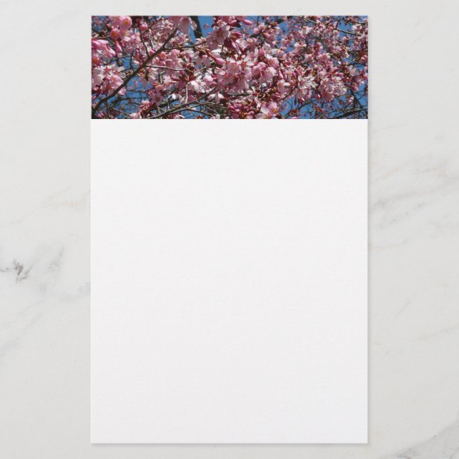 Papelaria Cherry Blossoms e Blue Sky Primavera Floral (Frente)