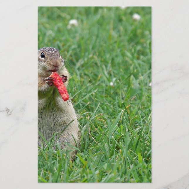 Papelaria Chipmunk.JPG (Frente)