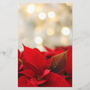 Papelaria Christmas Poinsettia