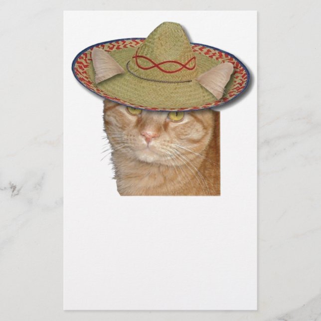 Papelaria Cinco de Gato (Frente)