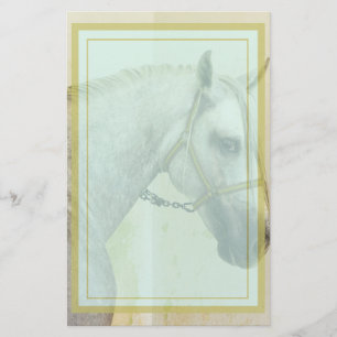 Papelaria Cinza de ananás Cavalo Andaluz