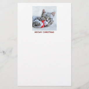 Papelaria Cinzas de Natal meudas de gato
