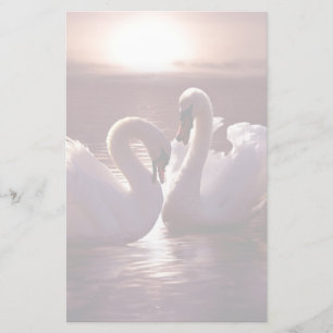 Papelaria Cisnes adoráveis formando um coração