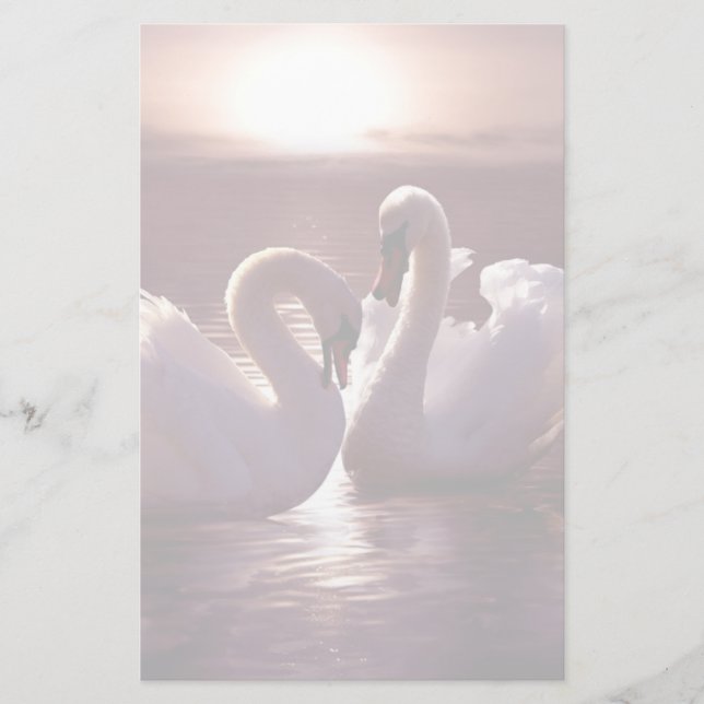 Papelaria Cisnes adoráveis formando um coração (Frente)