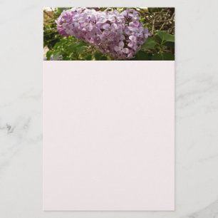 Papelaria Cluster de Lilac Blossoms Primavera Floral