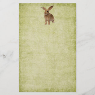 Papelaria Coelhinho De Disquete Bonito - Papel De Carta-Sem 