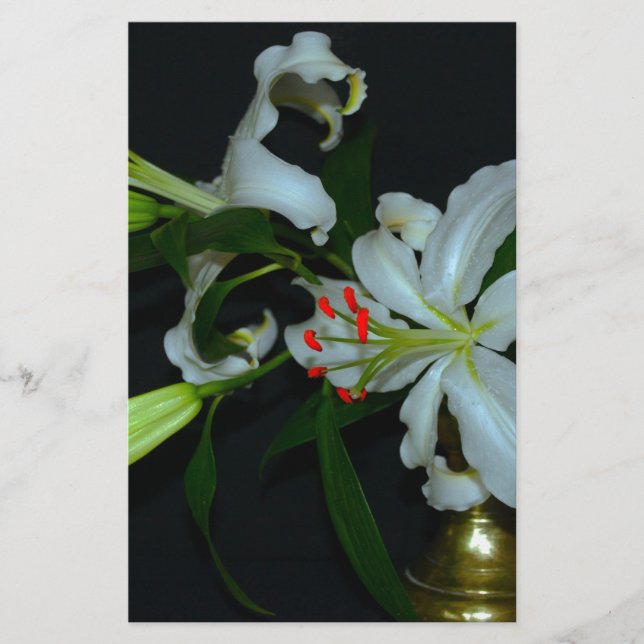 Papelaria Coleção de Design e Flores irlandesas (Frente)