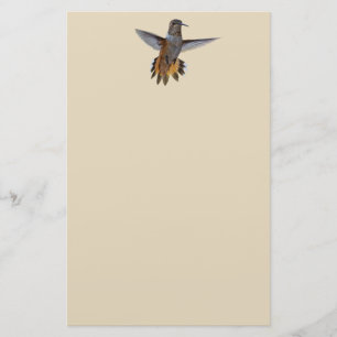 PAPELARIA COLIBRI