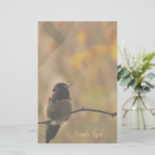 Papelaria Colibri em cores verdes amarelas mornas do ramo