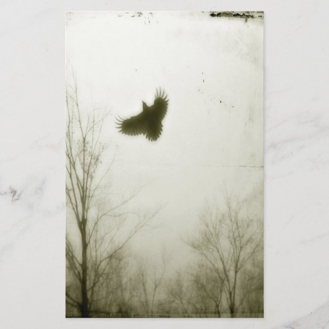 Papelaria Como O Corvo Voa (Frente)