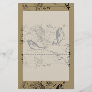 Papelaria Constelação Hevelius 1690 dos peixes no Taupe