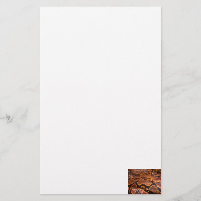 Papelaria Constrictor de boa (Frente)