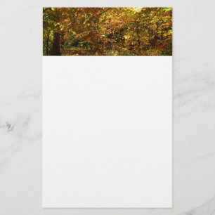 Papelaria Cópias de Folhas de outono Fotografia de outono A